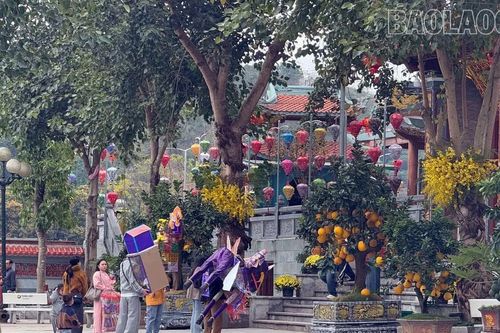 Bảo Hà đón khoảng 300.000 lượt khách dịp Tết Nguyên đán Bính Ngọ 2026