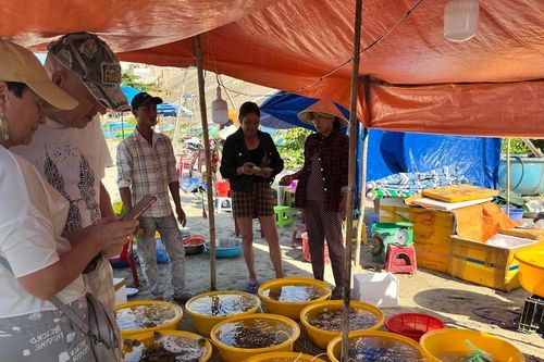 Làng chài Mũi Né nhộn nhịp đầu xuân