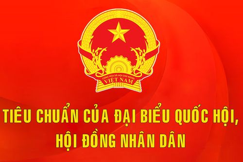 Các tiêu chuẩn của đại biểu Quốc hội, Hội đồng nhân dân