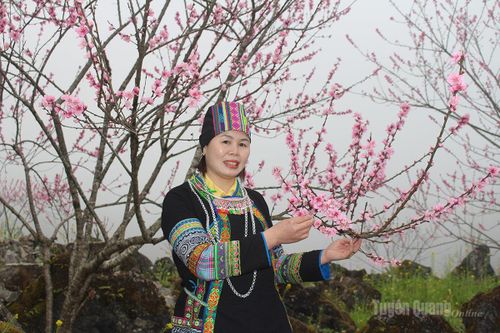 Hoa đào khoe sắc nơi biên cương Tùng Vài
