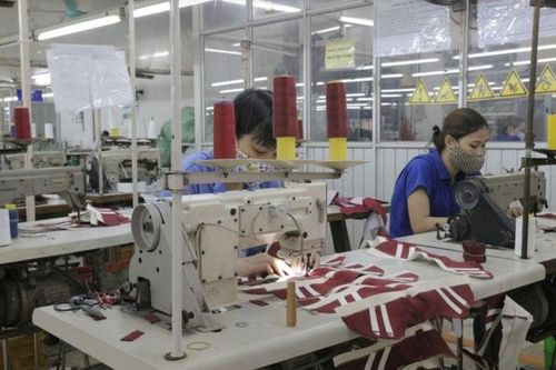 Giày Thượng Đình chuẩn bị 'thay máu' HĐQT sau loạt biến động cổ đông