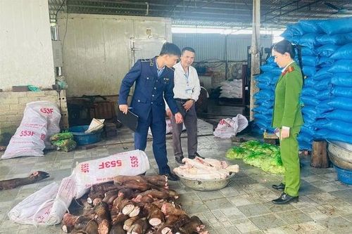 Thanh Hóa: Phát hiện 6 tấn chân, xương trâu bò không rõ nguồn gốc