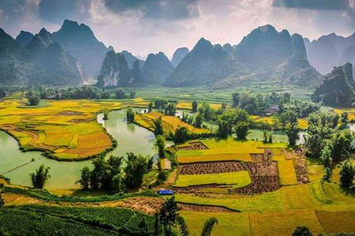 Chùm thơ Trần Phương Hồng Điểu