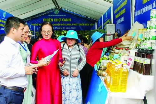 Những mùa xanh trên miền đất đỏ