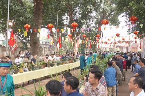Lễ trưng bày và thi hoa Địa Lan xuân Bính Ngọ