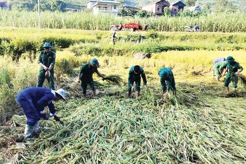 Thắm mãi một miền hoa biên giới