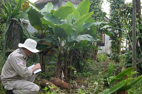 Xử lý hàng loạt vật liệu nổ sót lại sau chiến tranh tại Quảng Trị