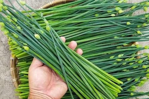 4 cách dùng rau hẹ chữa bệnh