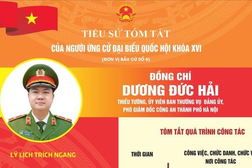 Thiếu tướng Dương Đức Hải được giới thiệu ứng cử Đại biểu Quốc hội khóa XVI
