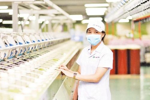 Doanh nghiệp sợi từng bước 'cắt lỗ'