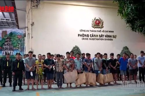Triệt phá sòng bạc và trường gà quy mô lớn tại TP Hồ Chí Minh
