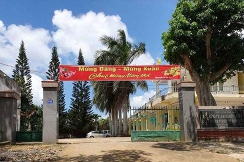 Khởi tố một giám đốc công ty lâm nghiệp để điều tra hành vi nhận hối lộ