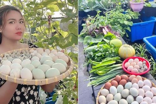 Mẹ đảm Đồng Nai nuôi gà, chim cút, trồng vườn rau xanh mướt trên sân thượng