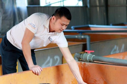 Chàng trai Hà Tĩnh thu hơn 6 tỷ mỗi năm nhờ nuôi lươn kiểu mới
