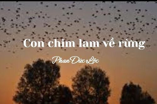Truyện ngắn: 'Con chim lam về rừng'