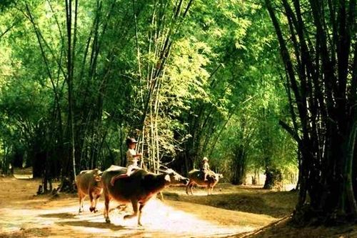 Tiếng quê