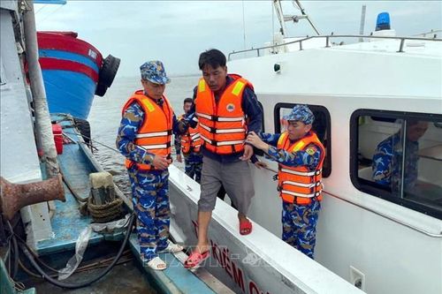 Bộ đội Biên phòng Ninh Bình kịp thời cứu 2 ngư dân gặp nạn trên biển