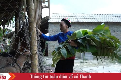 Chuyện thoát nghèo ở bản