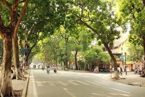 Thời tiết Bắc Ninh đêm mùng 1, ngày 2/3: Sáng sớm có sương mù nhẹ
