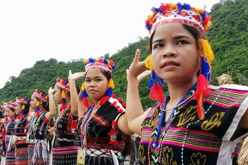 Sắc chàm nở hoa trên rừng Trường Sơn