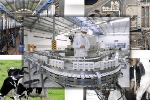 Việt Nam đặt mục tiêu sản xuất 9.700 triệu lít sữa vào năm 2045