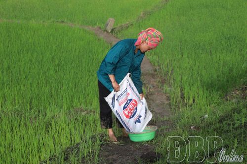 Tăng tốc sản xuất, tạo đà tăng trưởng