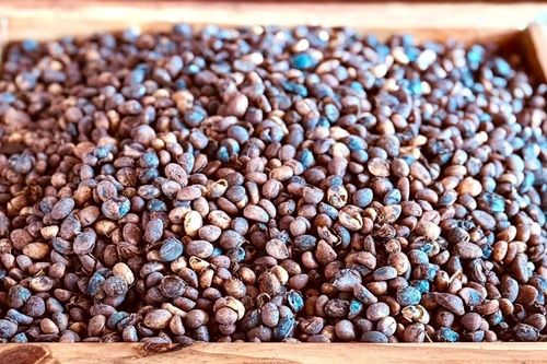 Ngày 1-3, giá cà phê nội địa ổn định giữa biến động thế giới
