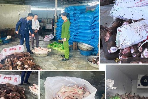 Thanh Hóa: Thu giữ gần 6 tấn thực phẩm không rõ nguồn gốc bốc mùi hôi thối