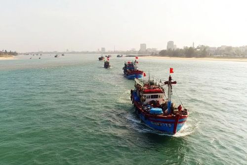 Vững tin vươn ra biển lớn