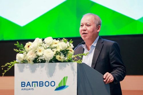 Ông Võ Huy Cường trở lại làm Phó Tổng Giám đốc Bamboo Airways