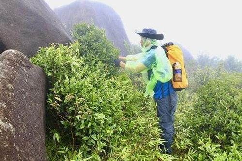 Đầu xuân thăm 'pháo đài xanh' – báu vật giữa đại ngàn Trường Sơn