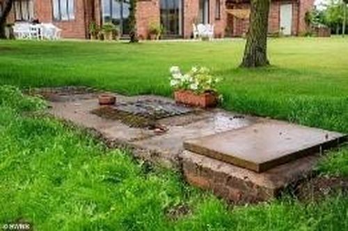 Bí mật chôn giấu của chủ trang trại