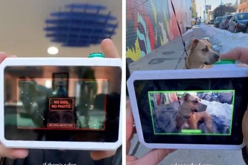 Công nghệ 1/3: Máy tạo nước trên sa mạc, camera chỉ chụp chó