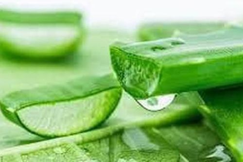 Nguyên liệu nào có thể kết hợp với nha đam để giảm mụn và phục hồi da?