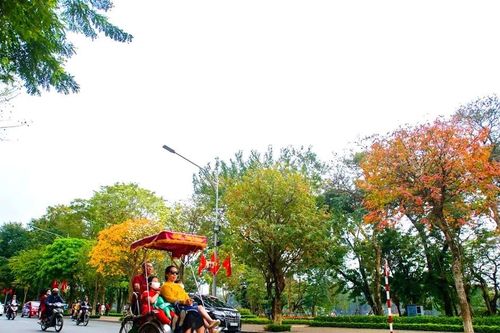 Hà Nội thơ mộng trong mùa cây thay lá