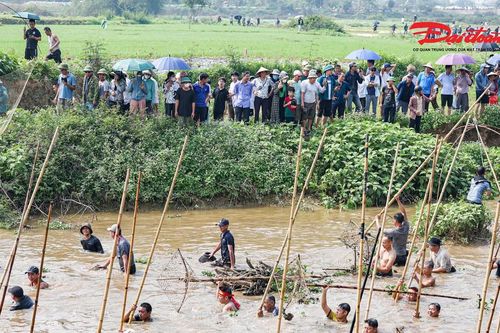 Hà Nội: Rộn ràng hội dập sào bắt cá trên sông Tích Giang đầu Xuân