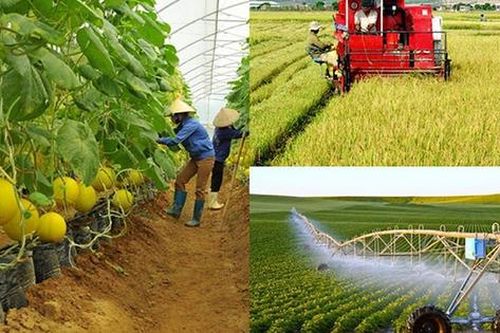 Hỗ trợ hợp tác xã tiếp cận, áp dụng các nền tảng số, công nghệ mới
