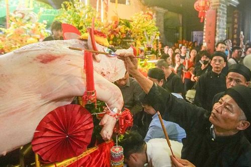 Rước 'ông lợn' khổng lồ hơn 200kg tại Lễ hội làng La Phù