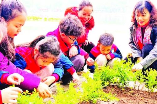 Lan tỏa phong trào làm sạch, đẹp môi trường