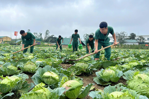 Tâm tình-Kiến nghị: Sẵn sàng mọi mặt tiếp nhận, huấn luyện chiến sĩ mới