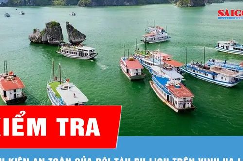 Kiểm tra điều kiện an toàn của đội tàu du lịch trên vịnh Hạ Long