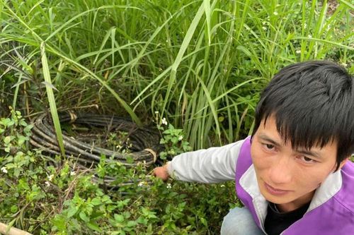 Bắc Ninh: Tạm giữ đối tượng trộm cắp dây cáp đèn chiếu sáng nông thôn