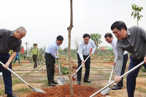 Phú Thọ khởi động mục tiêu trồng hơn 17,4 nghìn hecta rừng năm 2026