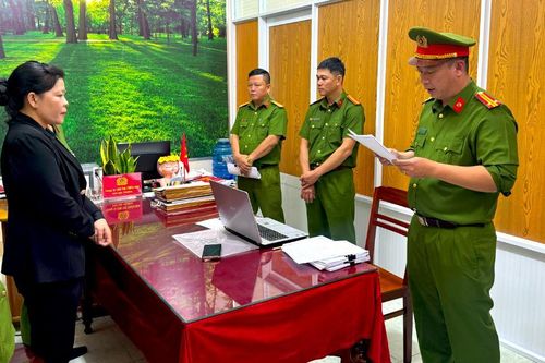 Hiệu trưởng chỉ đạo lập khống hồ sơ để 'rút ruột' gần 500 triệu đồng