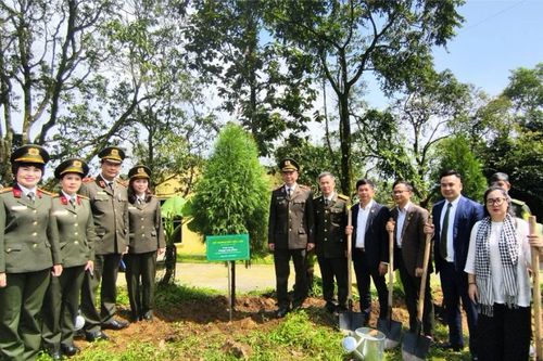 Chung tay trồng cây thực hiện chiến lược tăng trưởng xanh và phát triển bền vững