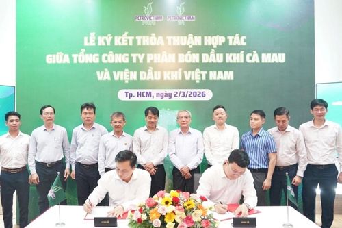 PVCFC và VPI hợp tác phát triển nông nghiệp xanh, bền vững