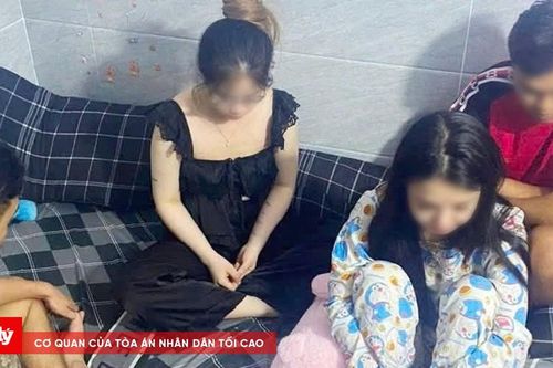 Tạm giữ hình sự 7 đối tượng liên quan đến ma túy