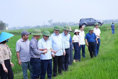 Phó Chủ tịch UBND tỉnh Nguyễn Văn Đệ kiểm tra, chỉ đạo sản xuất nông nghiệp tại các địa phương