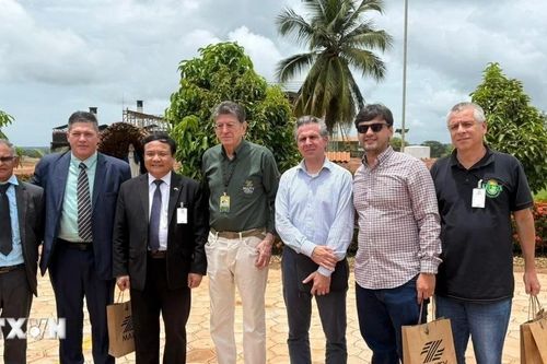 Việt Nam và Brazil thúc đẩy hợp tác nông nghiệp, năng lượng và sinh học