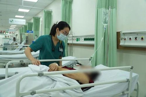TP Hồ Chí Minh: Thêm nhiều trường hợp nhập viện sau khi ăn bánh mì